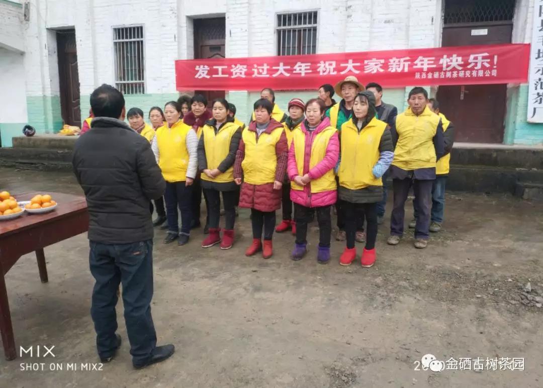 發工資，過大年！關坪山田園綜合體2019完美收官